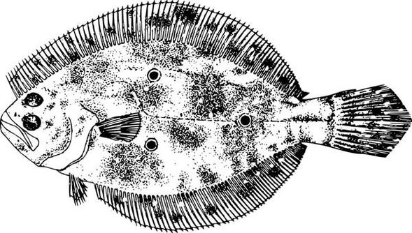 Ernardada